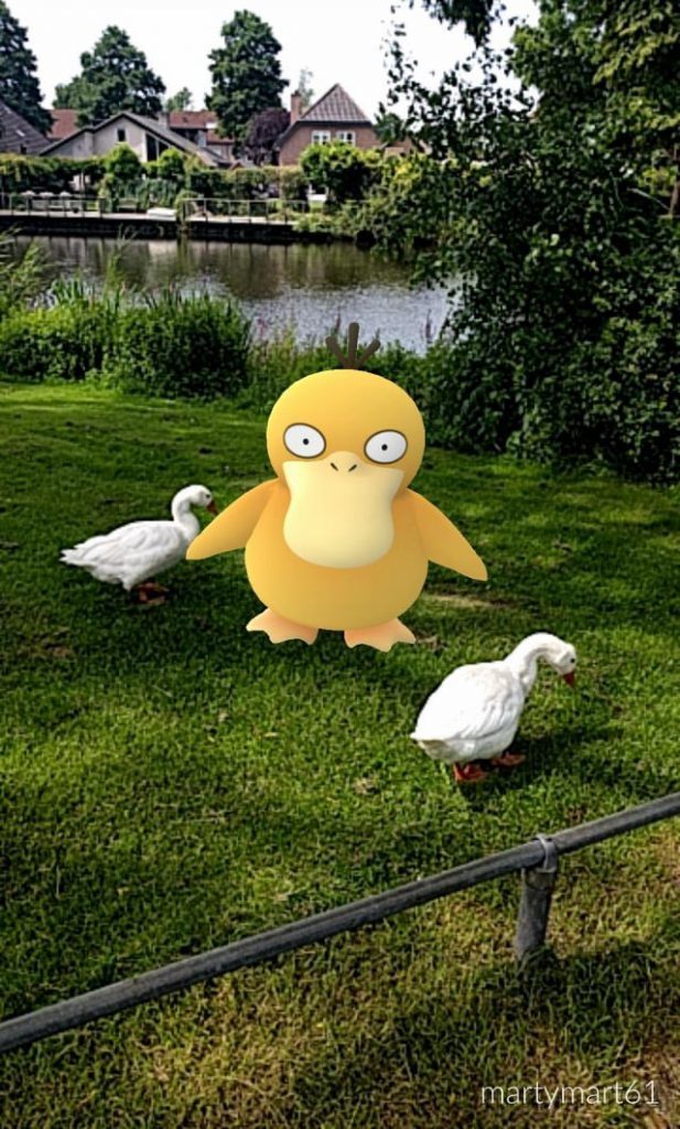 Pokemon-chamanisme-photo-psykokwak-617×1024