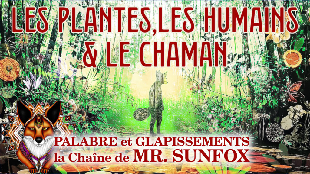 affiche plantes humain chaman palabre