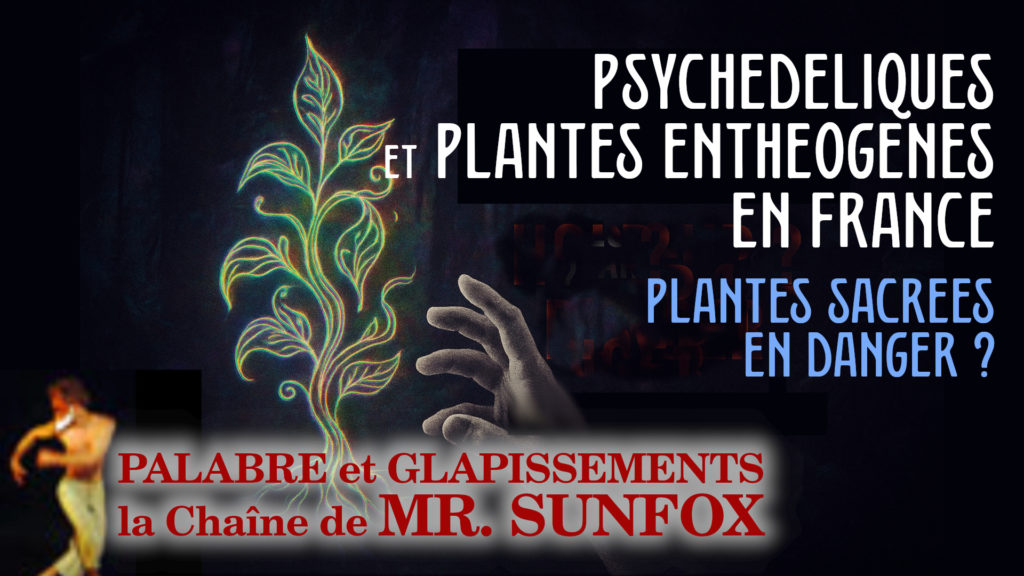 Psychedeliques plantes entheogenes en france 02