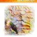 chamanisme-et-yoga-spiritualites-indiennes-eric-marchal-bod