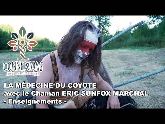 heyoka-medecine-coyote-chamanisme-sunfox-marchal