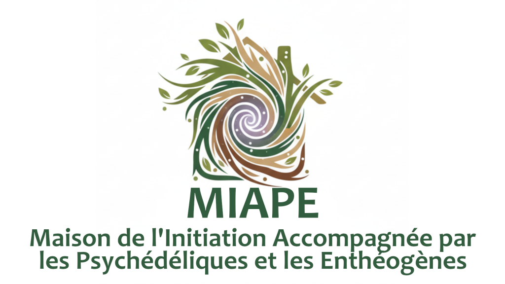 Logo-maisondelinitation.eu-00